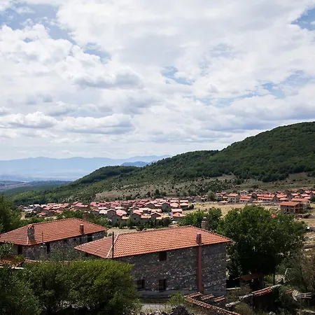 Oak & Pine Apartment Agios Athanasios  Exterior photo